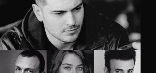 The Protector Series