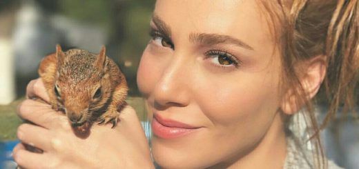 Elçin Sangu