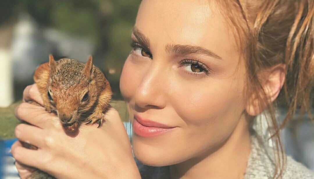 elçin sangu netflix