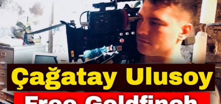 Çağatay Ulusoy