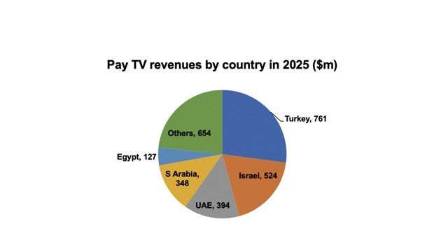 Digital platforms capture Turkish television market