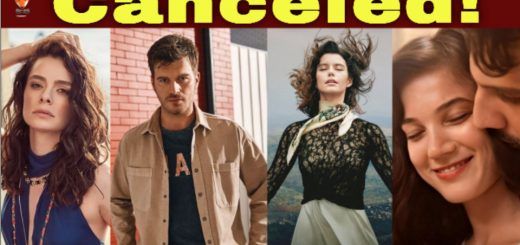 Is Netflix shutting down its Turkish TV shows?