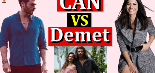 Can Yaman vs. Demet Ozdemir: the battle of fans