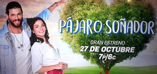 The Daydreamer / Pájaro Soñador