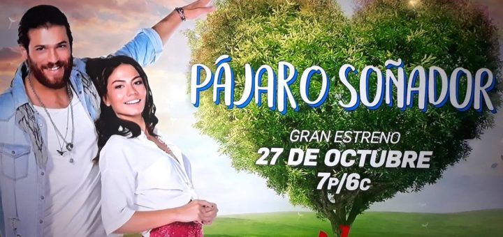 The Daydreamer / Pájaro Soñador