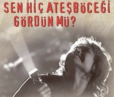 Have you ever seen fireflies?