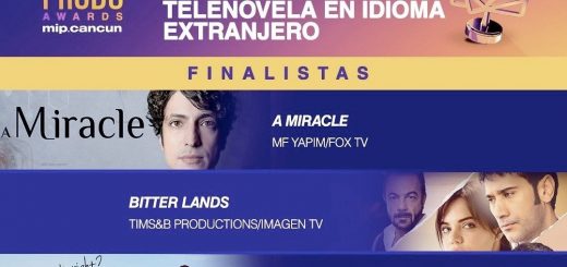 Turkish TV series at PRODU Awards