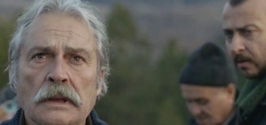 Dear Sir / Şeref Bey