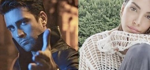 Organization / Teşkilat