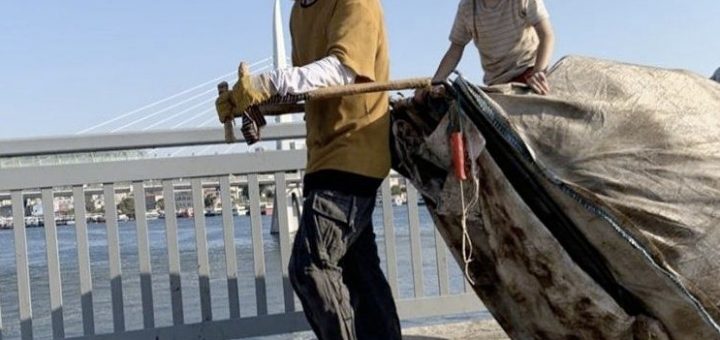 Paper Lives / Kağıttan Hayatlar