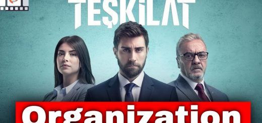 Organization / Teşkilat