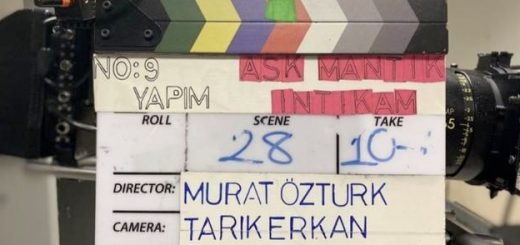 Love. Logics. Revenge / Aşk Mantık İntikam