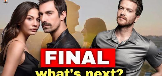 TV series My home My destiny makes the finale ... what's next?