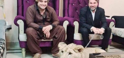 Engin Altan Düzyatan