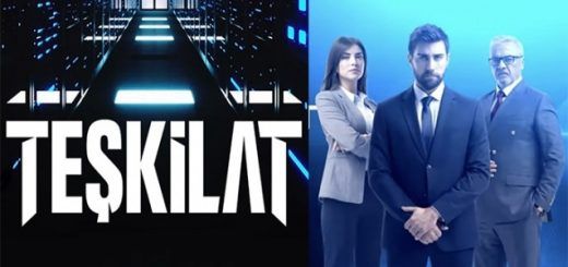 Organization / Teşkilat