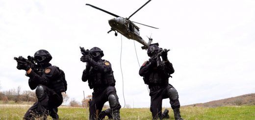 Organization / Teşkilat