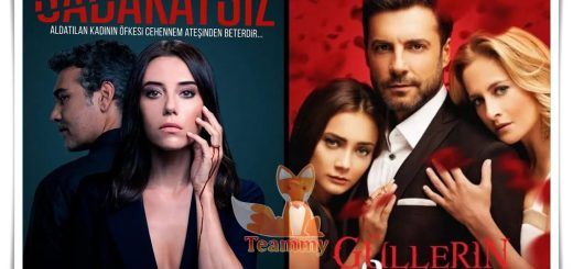 Arabic remakes of Turkish series