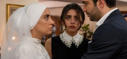 Cranberry Sherbet / Kızılcık Şerbeti