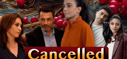 Cranberry Sherbet / Kızılcık Şerbeti